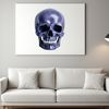 HD Skull Image A transparent high-resolution skull image with a clear background, suitable for print and commercial use.