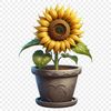 A single large sunflower plant with yellow petals and dark center, growing in a pot.