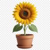 Large Floral Design PNG Image A large, bright sunflower in full bloom against a clear background.