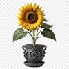 A high-resolution transparent PNG image of a single sunflower in full bloom, standing tall in a clear background.
