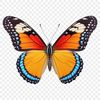 A colorful, transparent PNG image of a realistic butterfly against a clear background.