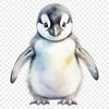 A small penguin chick standing on the ice with its mother, depicted in high resolution and transparent background.