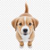 A high-resolution transparent PNG image of a cute puppy sitting on a clear background.