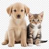 Playful Pals Together A digital illustration of a playful puppy and kitten sitting together on a transparent background.