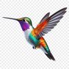 A high-resolution PNG image of a colorful hummingbird with a clear background, suitable for commercial and personal use.