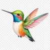 A high-resolution PNG image of a hummingbird in flight with a clear background.