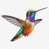 Close-up Bird Photography Example A close-up photograph of a hummingbird in flight, with clear visibility of its iridescent feathers.