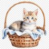 A colorful kitten sitting in a woven basket with a clear background, suitable for high-resolution printing or digital use.