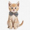 Clear Background Kitty Image A high-resolution png image of a cute domestic cat in a clear background.