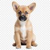 Adorable Canine Silhouette for Printing A cute, adorable dog in a playful pose on a transparent background, ideal for sublimation printing or DIY projects.