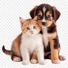 A transparent high-resolution image of a puppy and kitten together on a clear background.