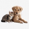 A playful combination of a puppy and kitten sitting together on a transparent background.