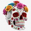 A high-resolution transparent PNG image of a detailed skull with a clear background, suitable for commercial or personal use.