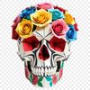 A high-resolution transparent skull with a clear background, suitable for various graphic designs and prints.