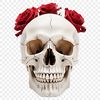 Grunge Skull Illustration A high-resolution skull illustration with a transparent background, suitable for sublimation printing or digital use.