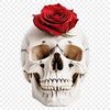 A transparent skull icon with a clear background in high resolution PNG format.