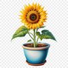 Vibrant Sunflower in Clear Background PNG A single large sunflower with a clear background in high resolution PNG format.