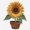 High-Quality Image of a Single Sunflower A high-resolution PNG image of a single bright yellow sunflower with large petals in full bloom.