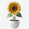 Vibrant Sunflower Blooms in HD A high-resolution sunflower in full bloom, set against a transparent background, suitable for sublimation or print.
