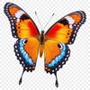 A colorful butterfly with intricate details, suitable for various designs and projects.