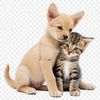 Furry Friends Mixup A cute mixed-breed puppy kitten sitting on a colorful background with a clear transparent effect.