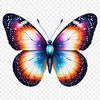 An insect illustration featuring a close-up of a butterfly's body and wings in high resolution.