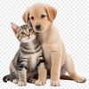 Whimsical Pet Mixture A cartoon illustration of a puppy kitten hybrid animal with a clear background.