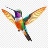 Stunning Hummingbird Illustration A detailed illustration of a hummingbird in flight, suitable for high-resolution printing or digital use.