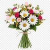A colorful arrangement of flowers in a bouquet, suitable for commercial or personal use.