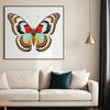 Close-up Butterfly Pattern Illustration A close-up photograph of a colorful butterfly with intricate patterns on its wings, suitable for sublimation printing.