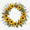 A high-resolution floral wreath made up of sunflowers, suitable for commercial or personal use.
