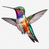 A colorful hummingbird perched on a branch in flight.