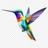 A detailed illustration of a hummingbird in flight, suitable for commercial use and high-resolution printing.