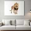 Free High-Res Lion Image Download A high-resolution PNG image of a wild African lion with a clear background.