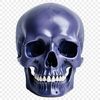 A transparent PNG image of a human skull with a clear background.
