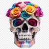 Beautiful Skull Design with Clear Background A detailed illustration of a skull in high resolution with a clear transparent background.