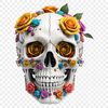 A transparent PNG skull with a clear background, suitable for sublimation printing.