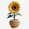 High Res Sunflower PNG Image A high resolution PNG image of a single sunflower in a flower pot with a clear background.
