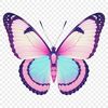 Colorful Butterfly Clipart A colorful butterfly with delicate wings, suitable for personal and commercial projects.