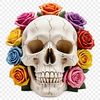 A simple skull illustration with a clear background, suitable for graphic design projects.
