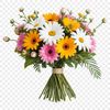 A colorful arrangement of flowers in a clear background PNG image.