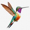 Beautiful Bird Illustration PNG A high resolution transparent PNG image of a hummingbird perched on a branch against a clear background.