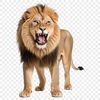 A high-resolution image of a lion, a large wild animal found in savannas and grasslands.