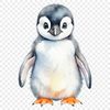 Cute Penguin Chick Waddling on Land A small penguin chick standing on its feet, waddling on land with flippers.