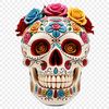 Free Skull Clip Art for Commercial Use A transparent PNG image of a skull in a clear background.