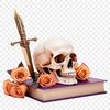 A detailed, high-resolution PNG image of a transparent skull against a clear background.