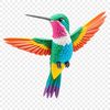 A close-up transparent PNG image of a colorful hummingbird perched on a branch with a clear background.