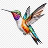 A high-resolution illustration of a hummingbird in flight with a transparent background.