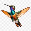 Beautiful Bird Design in PNG Format A clear background PNG image of a hummingbird in full color, suitable for commercial or personal use.