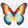 Free High Resolution Butterfly Image A colorful butterfly with wings in motion.